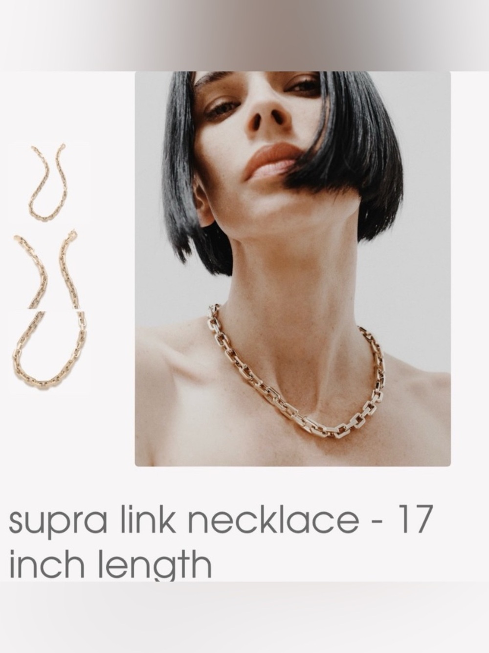 Eddie Borgo 17” Supra Link Necklace - Picture 4 of 5